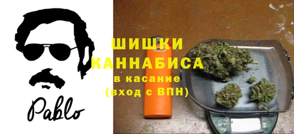 ГАЛЛЮЦИНОГЕННЫЕ ГРИБЫ Арсеньев