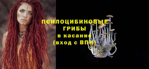 твердый Аркадак