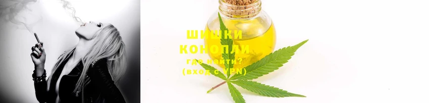 ГАЛЛЮЦИНОГЕННЫЕ ГРИБЫ Арсеньев