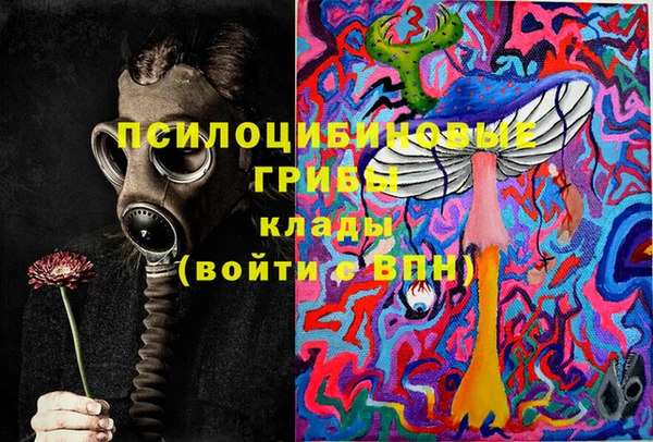 твердый Аркадак