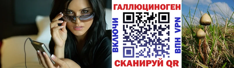 магазин продажи   Краснослободск  Псилоцибиновые грибы Cubensis 